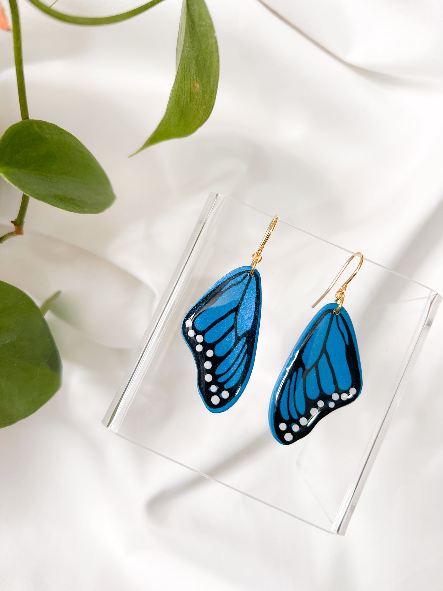 Peacock Blue - Butterfly Wings