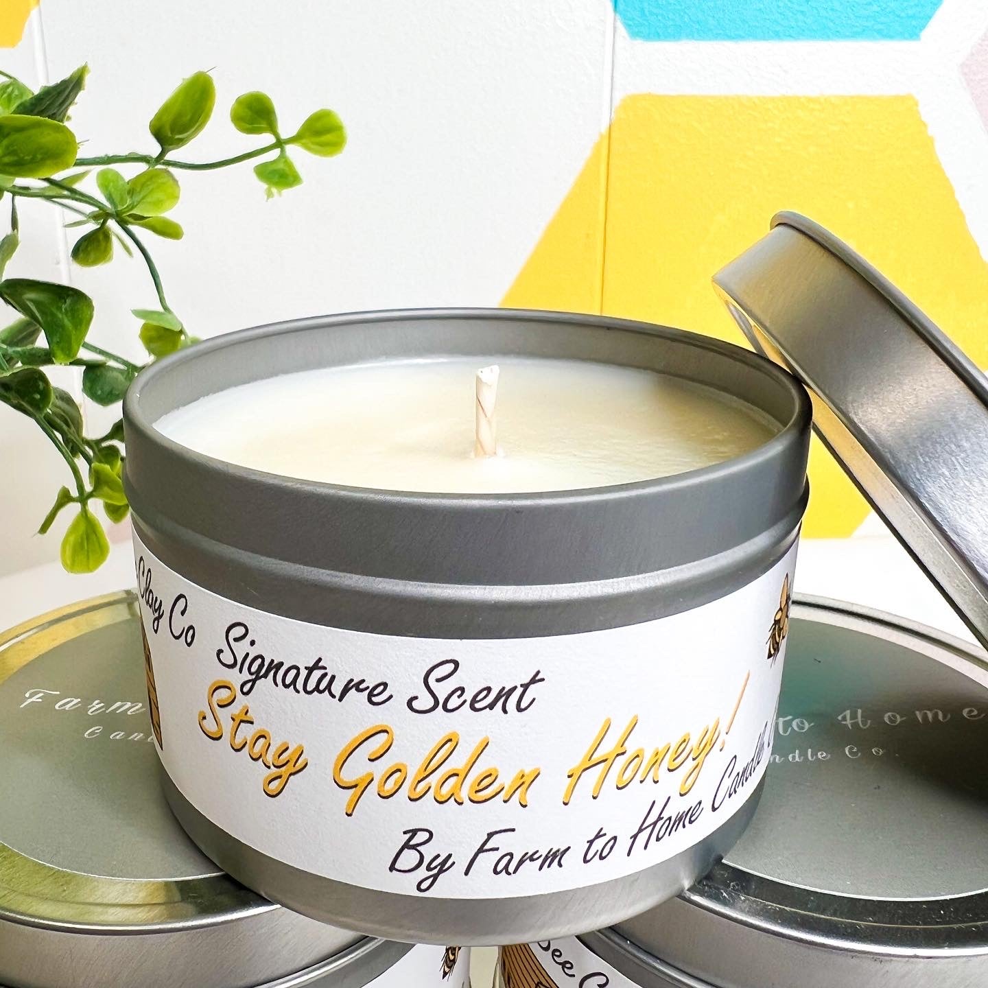ReynaBeeClayCo Signature Candles - 8oz