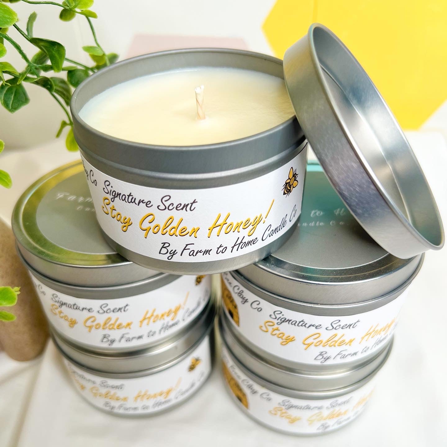 ReynaBeeClayCo Signature Candles - 8oz